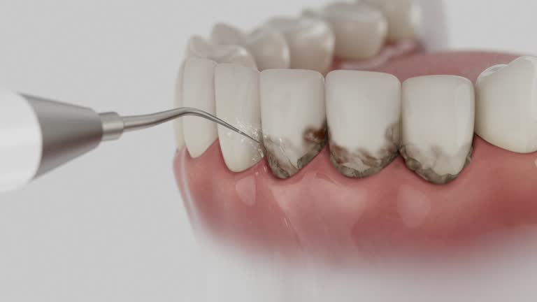 Reliable Dental contractor in Jones Creek, TX by Dentist Open Now